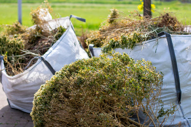 Best Yard Waste Removal  in Shadeland, IN