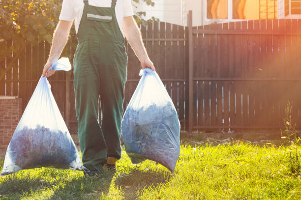 Best Junk Hauling Services  in Shadeland, IN